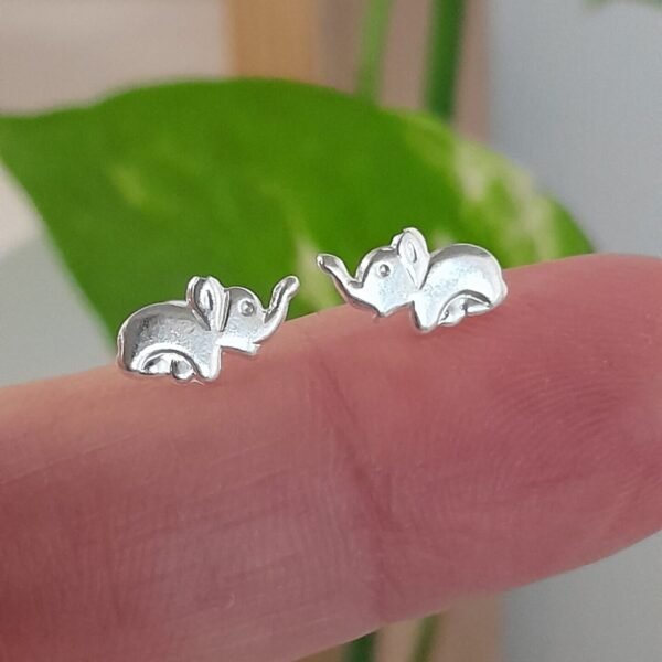 Aros Abridores lisos elefante – Plata 925