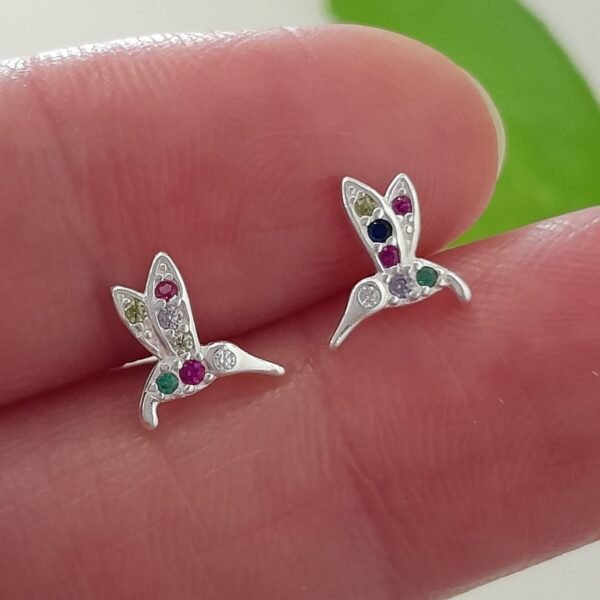 Colibrí brillo colores-pasante italiano