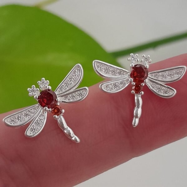 Libelula brillo rojo-pasante italiano