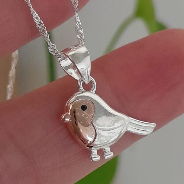 Pájaro-conjunto italiano