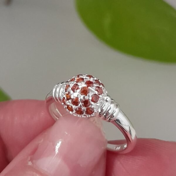Anillo italiano frutillita