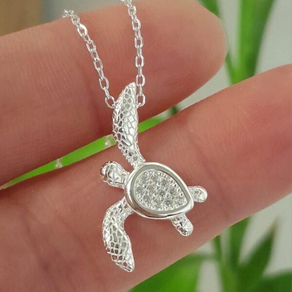 Conjunto italiano tortuga marina con cubic