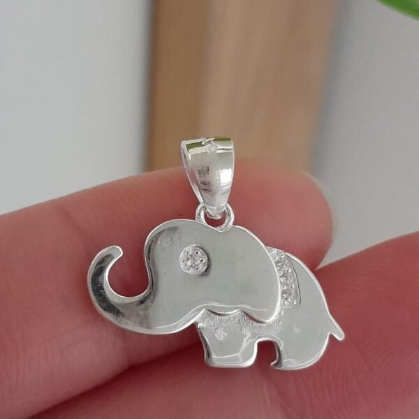 Dije italiano elefante bebe liso