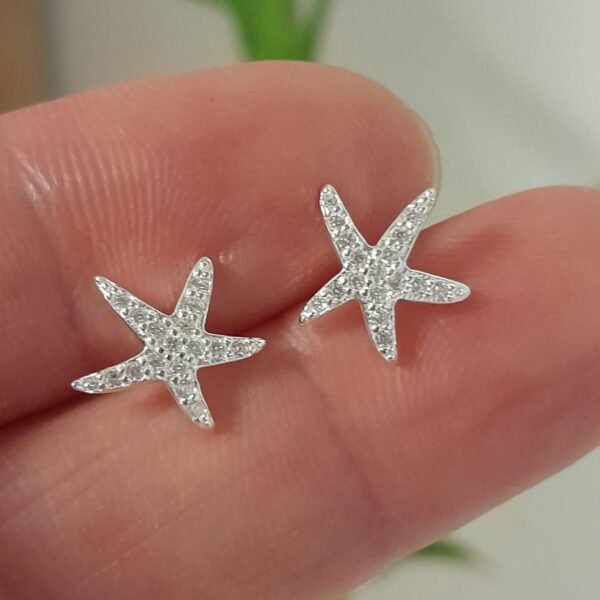 Pasante italiano estrellas de mar con cubic